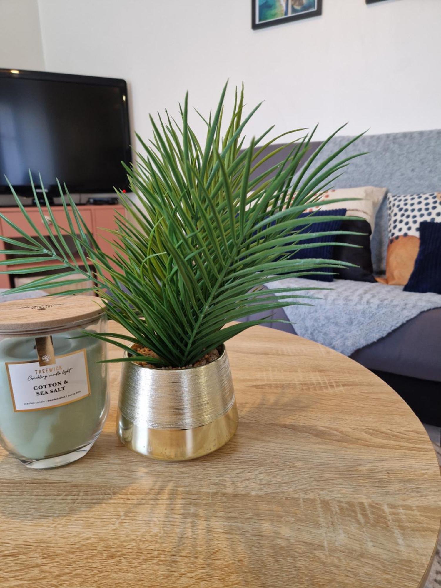 Le Phare - Cosy En Centre Saint-Malo